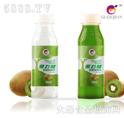 �������J���ҽ��290ml(ƿ)