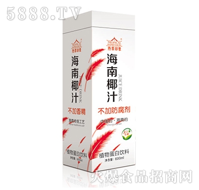600ml熱帶印象海南椰汁盒裝