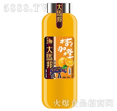 ���R�������֭���300ml