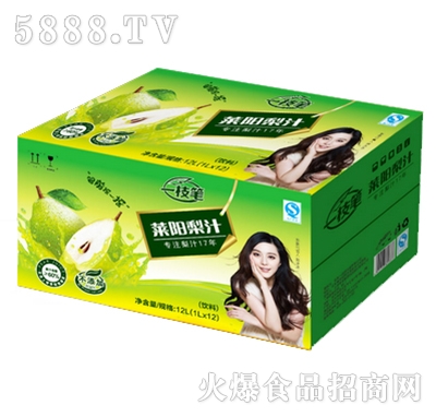 һ֦�P�R�(y��ng)��֭1Lx12��