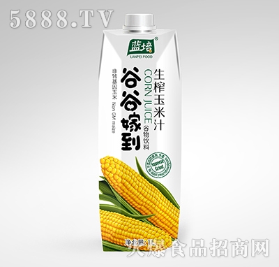 �{(l��n)��ȹȼ޵���ե����֭1L