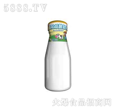�����p������