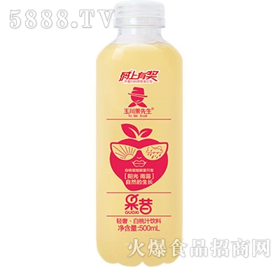 500ml�p�ݹ�����������֭����֭���
