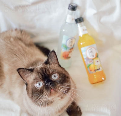 ����؈��ˮ��ƿ��