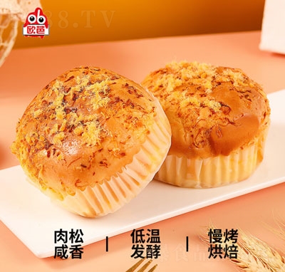 �W���������������