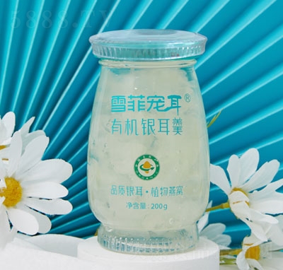 ѩ�ƌ����ЙC�y�������̴���