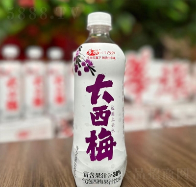 �A�����÷���ݹ�֭���500ml