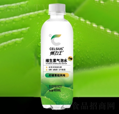 ȼ��ʿ�S���ؚ���ˮ��������L(f��ng)ζ480ml
