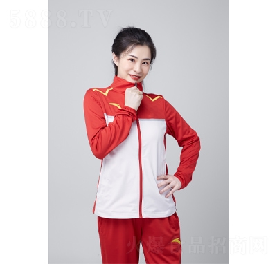 �Ĵ������܊������-�_��8