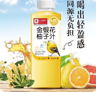 ��Ʒ��ӽ��y������֭��(f��)�Ϲ�֭500ml