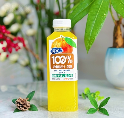 ����100%ɳ�ǽ�֭500ml