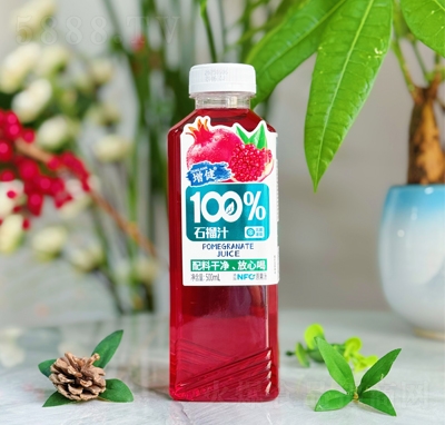 ����100%ʯ��֭500ml