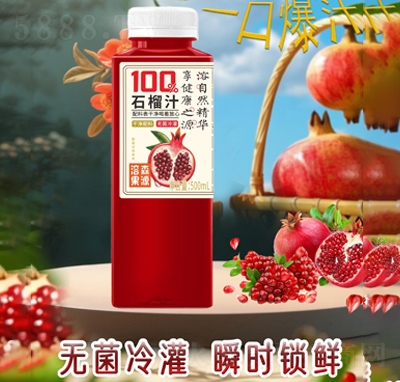 ��ɭ��Դ100%ʯ��֭500ml