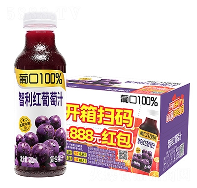 �Ͽ�100%�����t����֭500ml