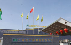 �Ϻ��r(n��ng)�a(ch��n)Ʒ�������l(f��)�Ј�(ch��ng)