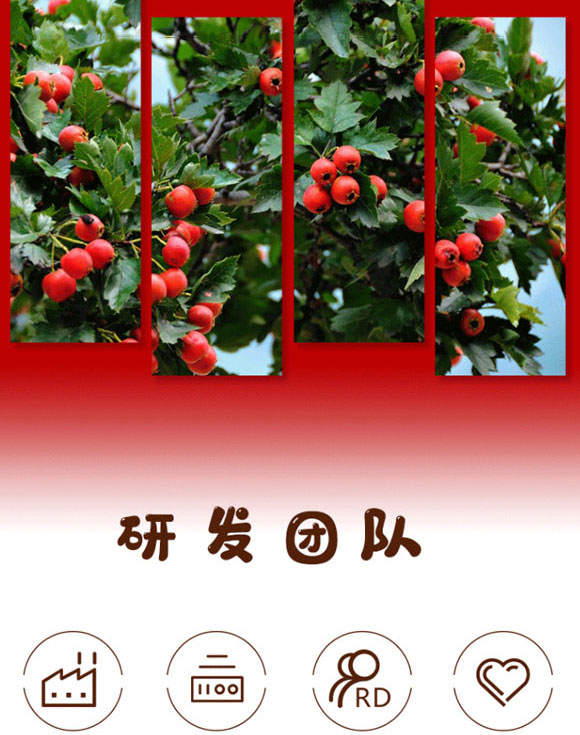 �����м�����ʳƷ���޹�˾-ɽ髹�֭02_04