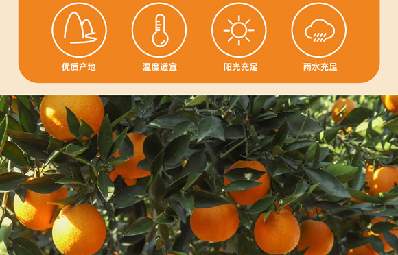 ���݄�(d��ng)��-3_07