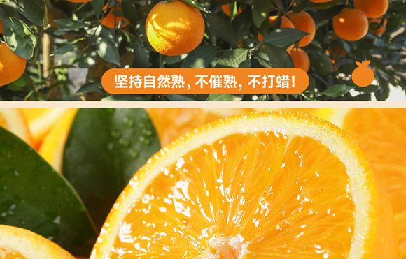 ���݄�(d��ng)��-3_08